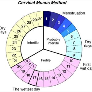 Trouble Conceiving Again - Male Infertility Test: To Check Your Manhood