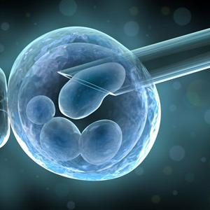 When Am I Most Fertile Calendar - Treatment For Infertility