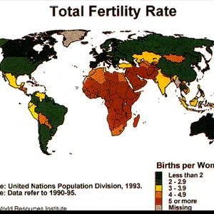 Ovulation Predictor Online - PCOS Infertility - Here